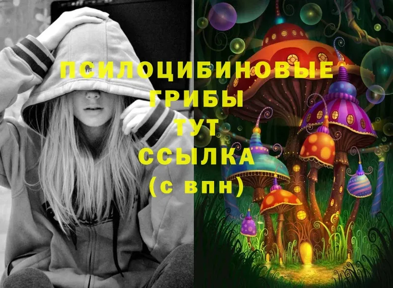 hydra ссылки  Ставрополь  Псилоцибиновые грибы MAGIC MUSHROOMS 